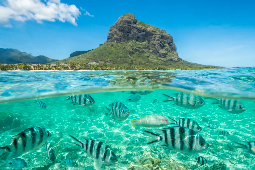 mauritrip - best beaches mauritius - tour operator - visit mauritius - places to visit in mauritius - taxi maurice - visiter maurice